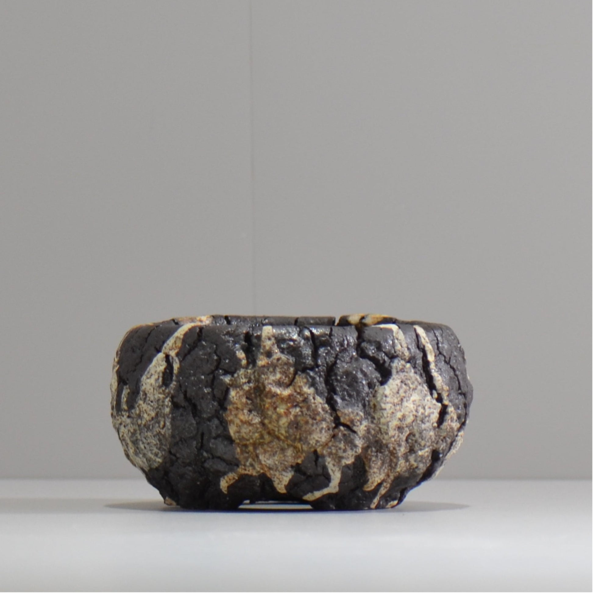 松井邦明 /  枯渇  / mk_ko01_s / 約 9.5cm / 植木鉢
