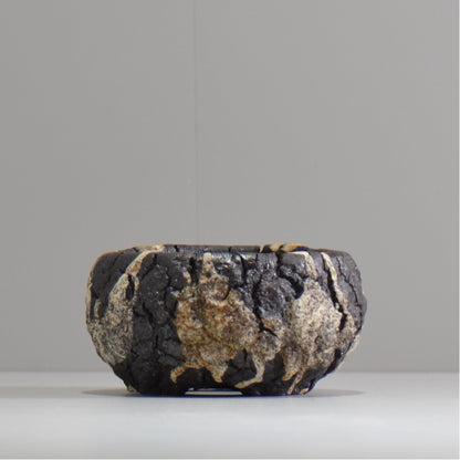 松井邦明 /  枯渇  / mk_ko01_s / 約 9.5cm / 植木鉢