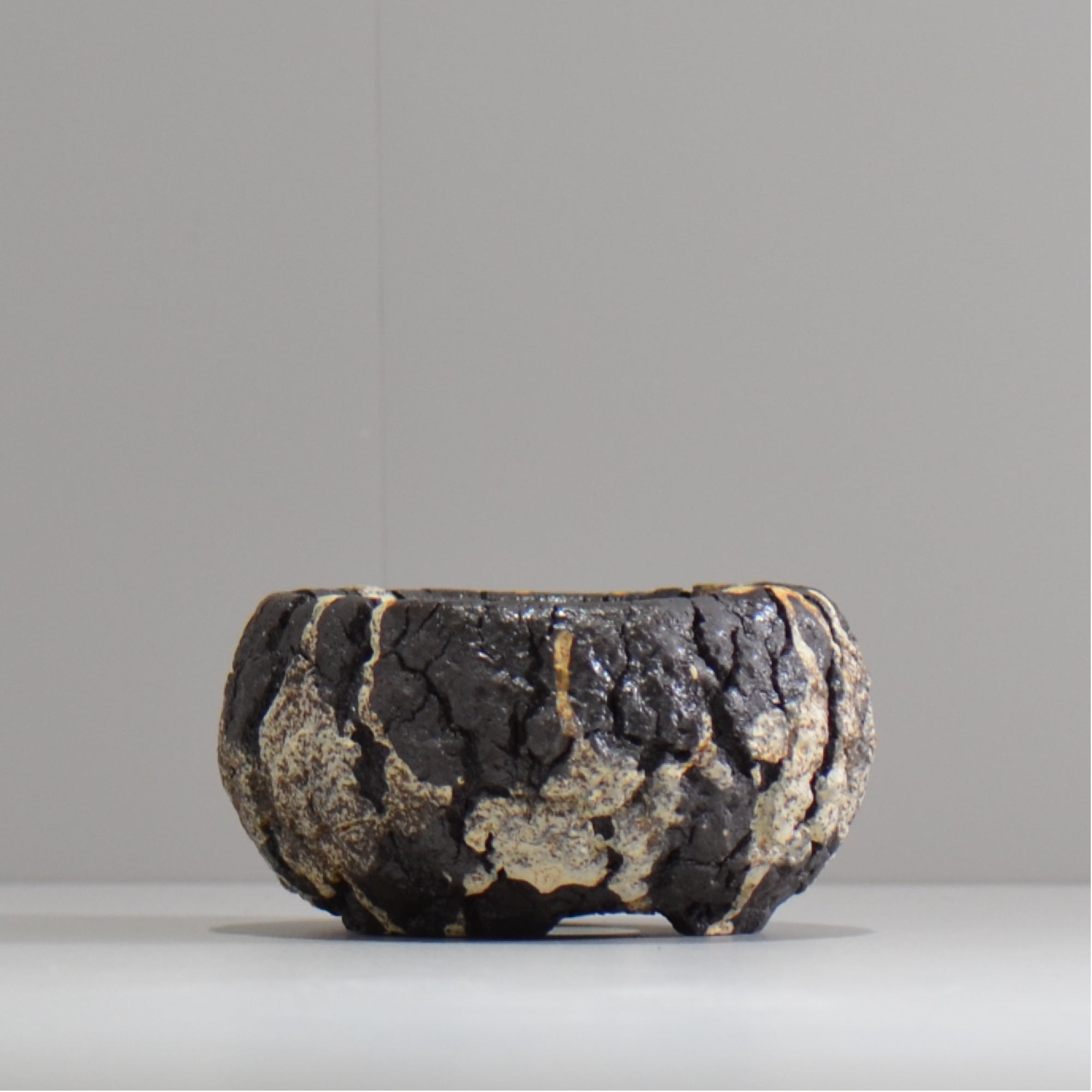 松井邦明 /  枯渇  / mk_ko01_s / 約 9.5cm / 植木鉢