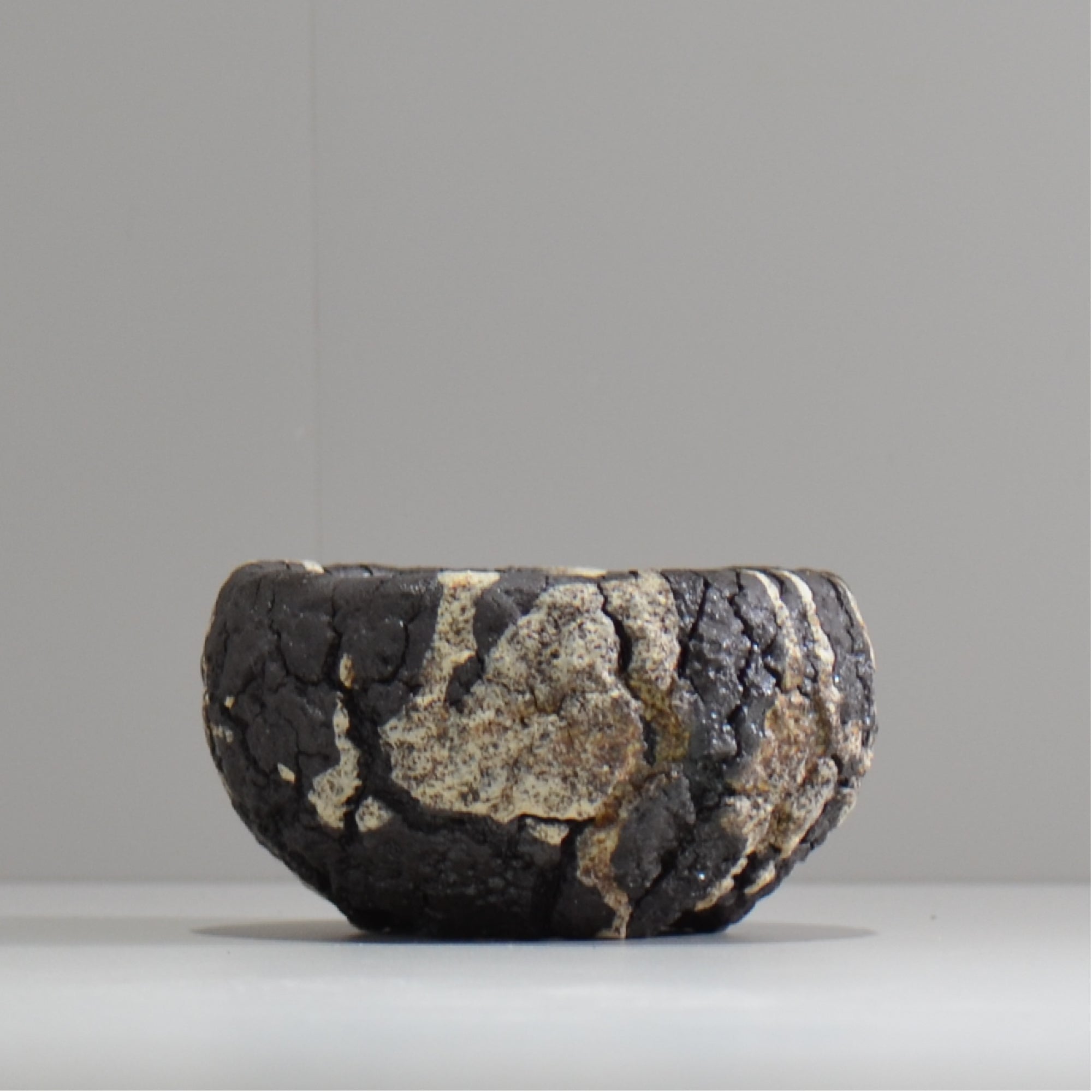 松井邦明 /  枯渇  / mk_ko02_s / 約 10cm / 植木鉢