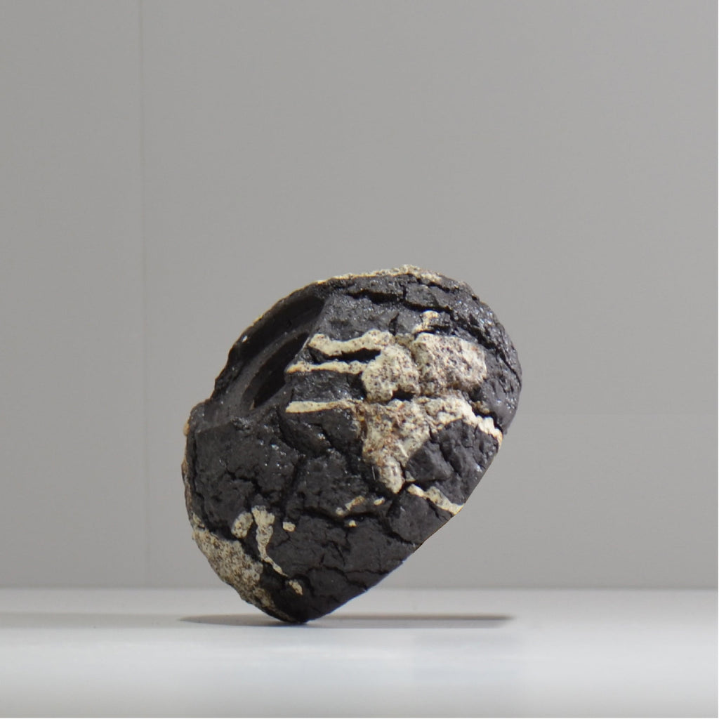 松井邦明 /  枯渇  / mk_ko02_s / 約 10cm / 植木鉢