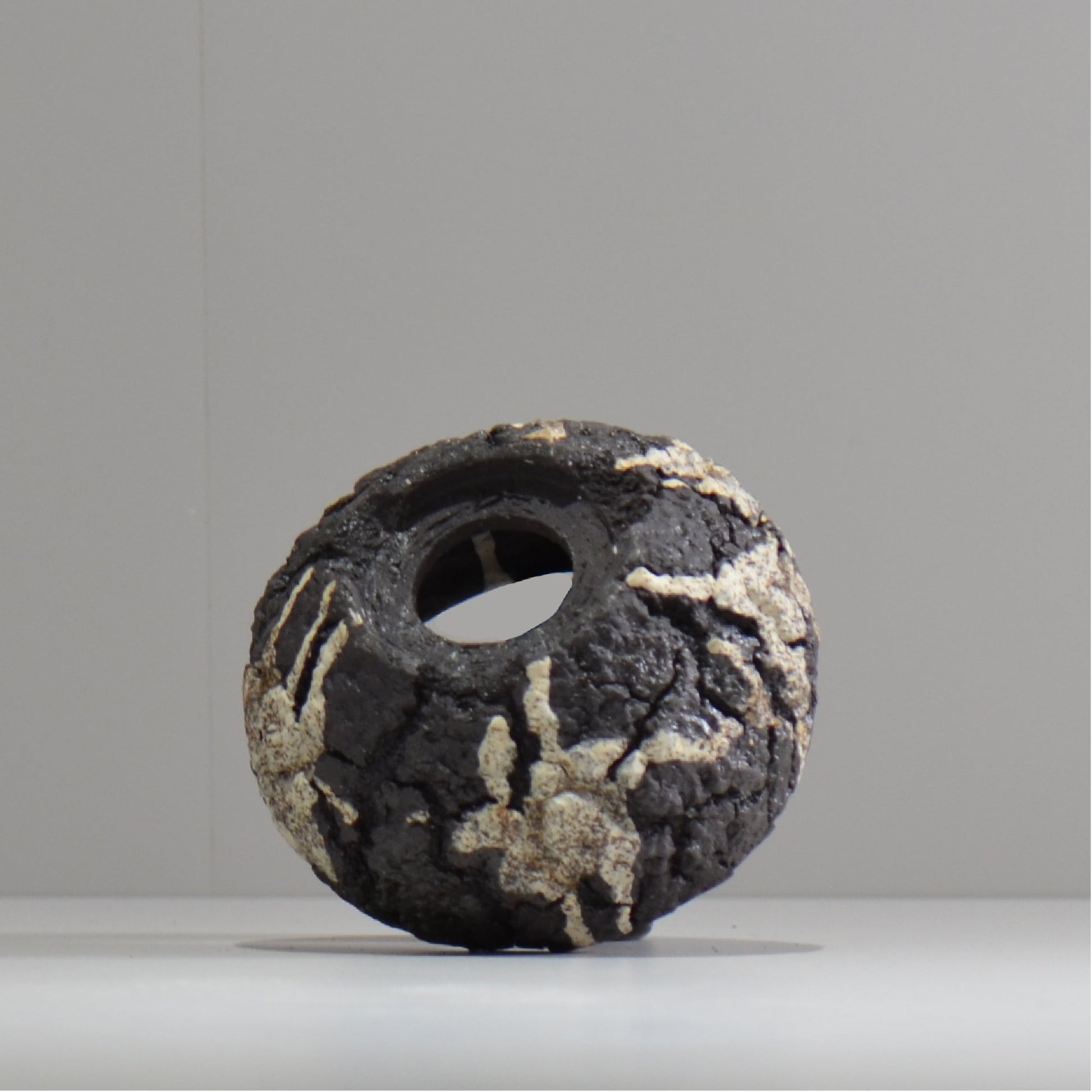 松井邦明 /  枯渇  / mk_ko02_s / 約 10cm / 植木鉢