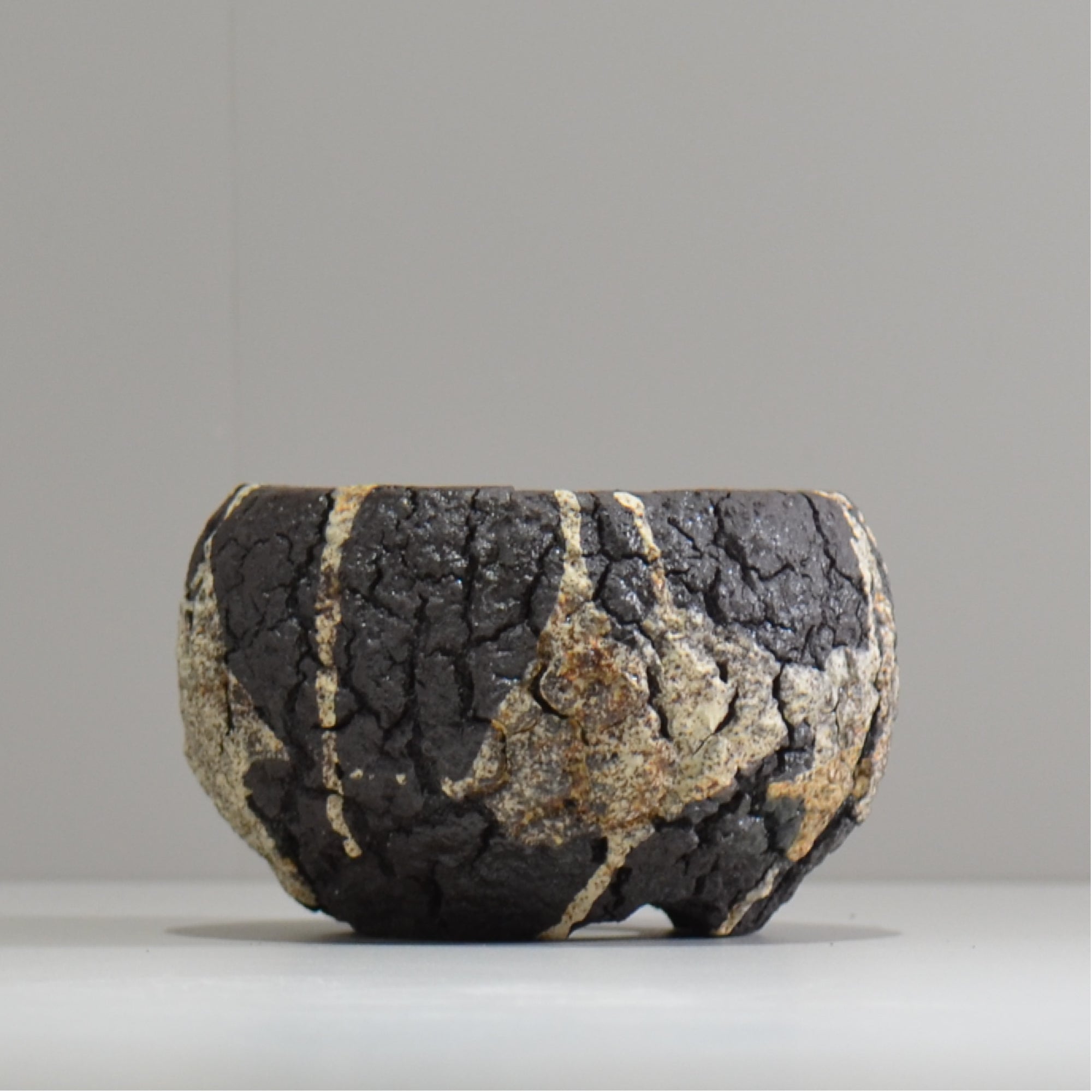 松井邦明 /  枯渇  / mk_ko03_s / 約 10cm / 植木鉢