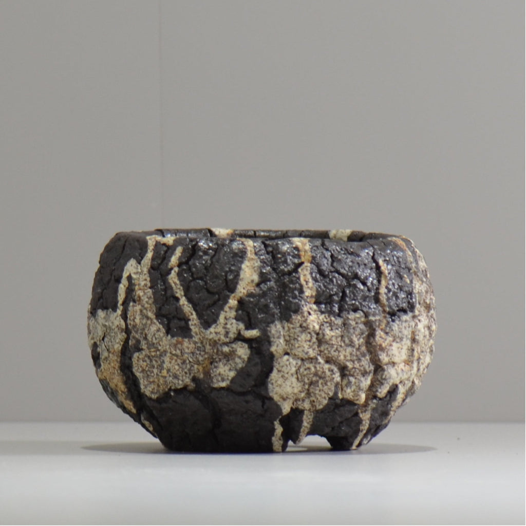 松井邦明 /  枯渇  / mk_ko03_s / 約 10cm / 植木鉢