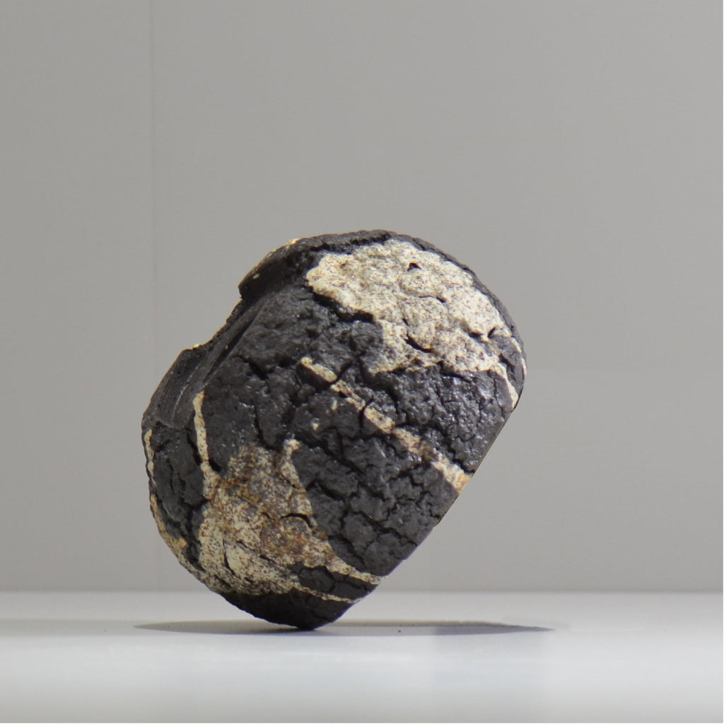 松井邦明 /  枯渇  / mk_ko03_s / 約 10cm / 植木鉢