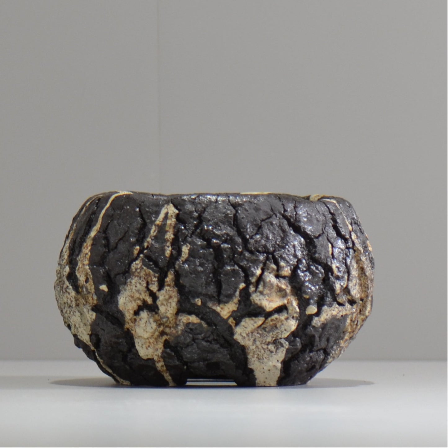 松井邦明 /  枯渇  / mk_ko04_s / 約 10cm / 植木鉢