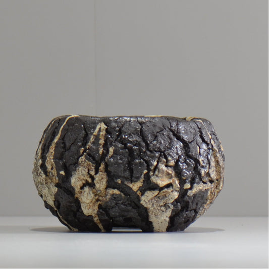 松井邦明 /  枯渇  / mk_ko04_s / 約 10cm / 植木鉢