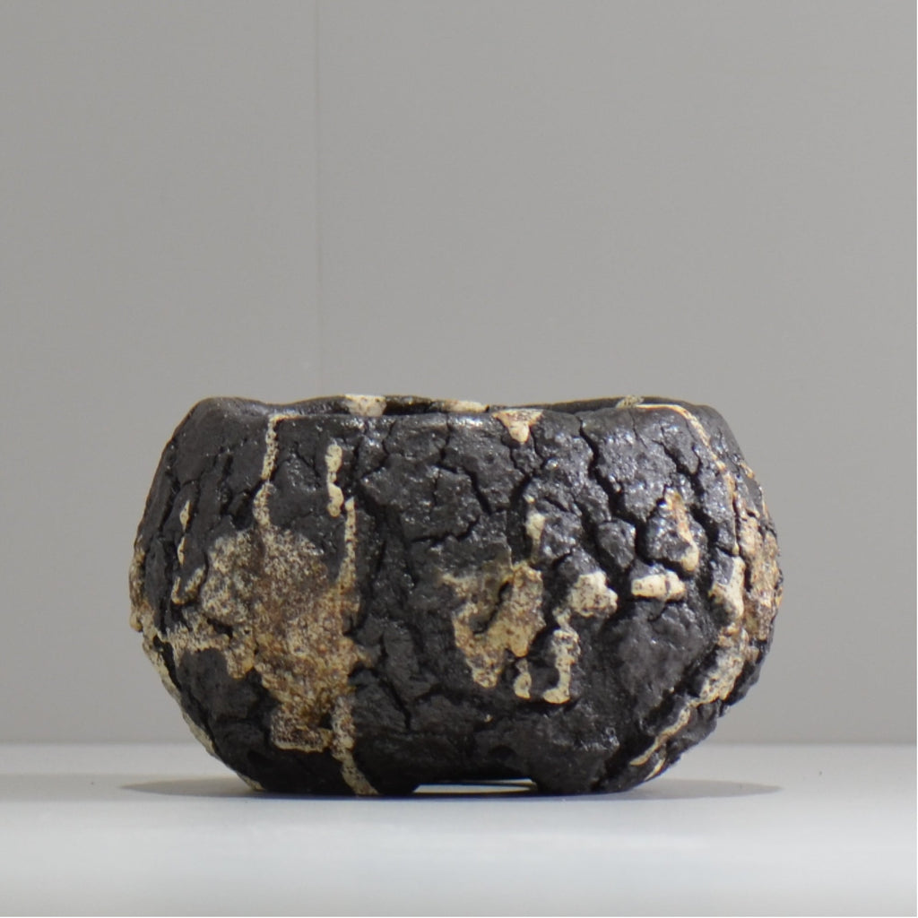 松井邦明 /  枯渇  / mk_ko04_s / 約 10cm / 植木鉢
