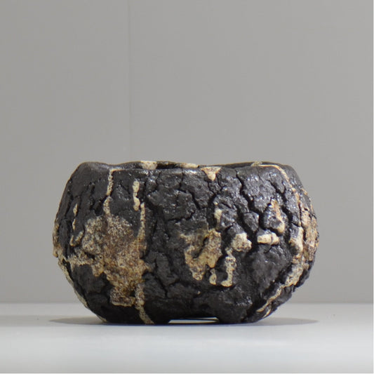 松井邦明 /  枯渇  / mk_ko04_s / 約 10cm / 植木鉢