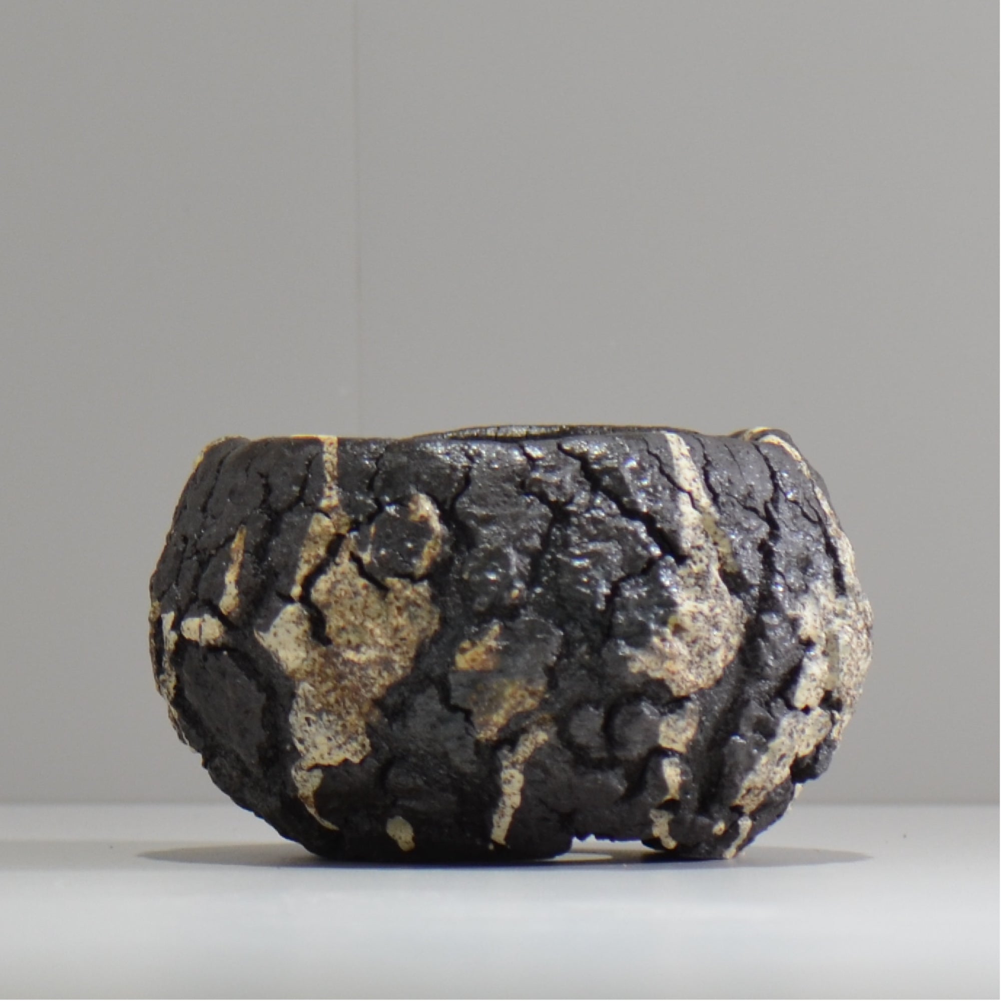 松井邦明 /  枯渇  / mk_ko04_s / 約 10cm / 植木鉢