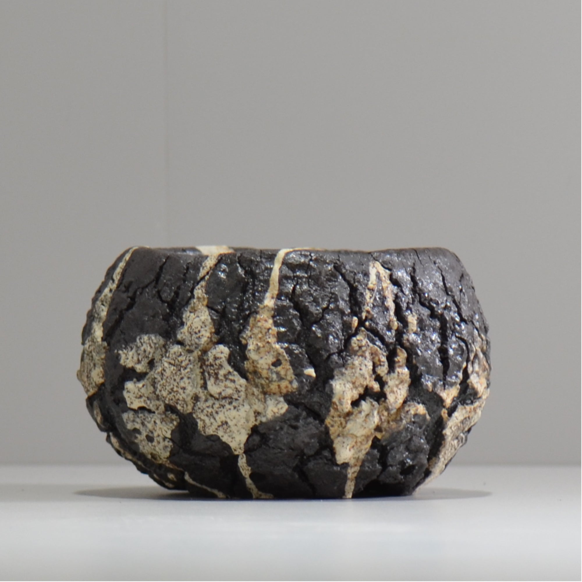 松井邦明 /  枯渇  / mk_ko04_s / 約 10cm / 植木鉢