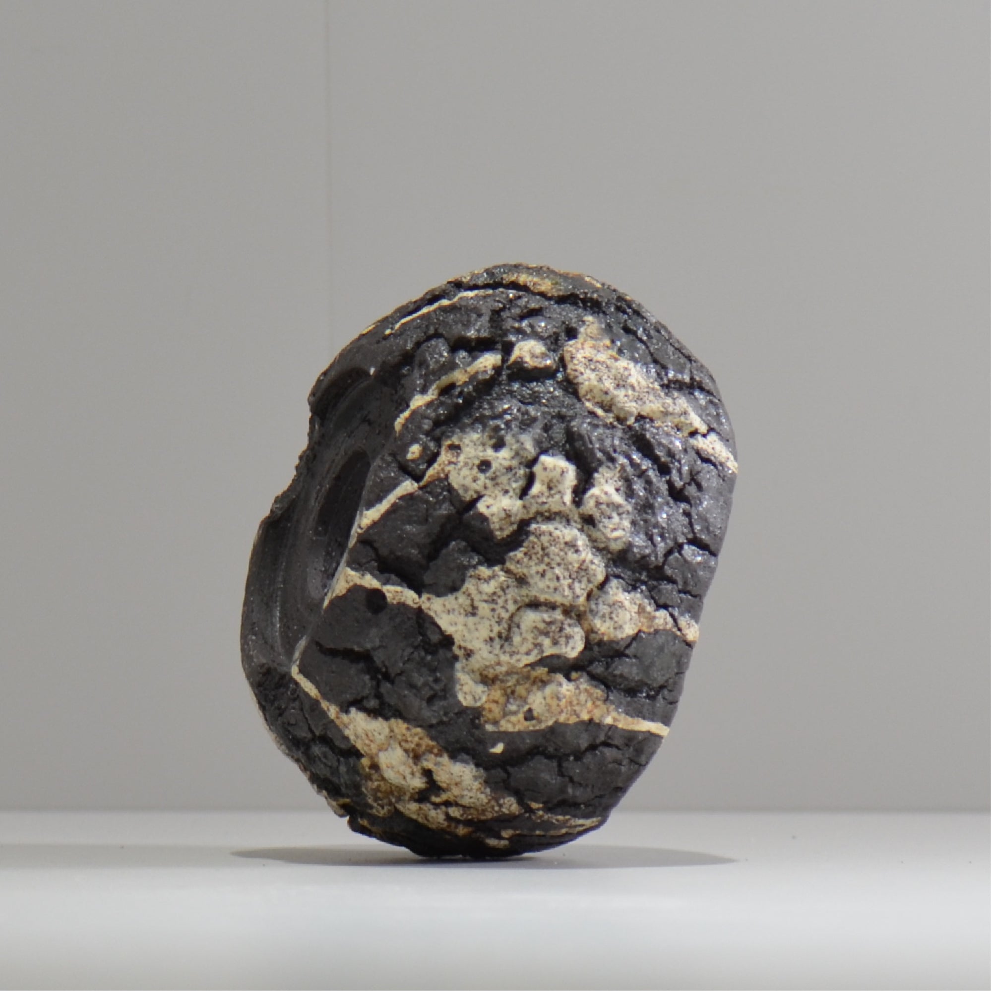 松井邦明 /  枯渇  / mk_ko04_s / 約 10cm / 植木鉢