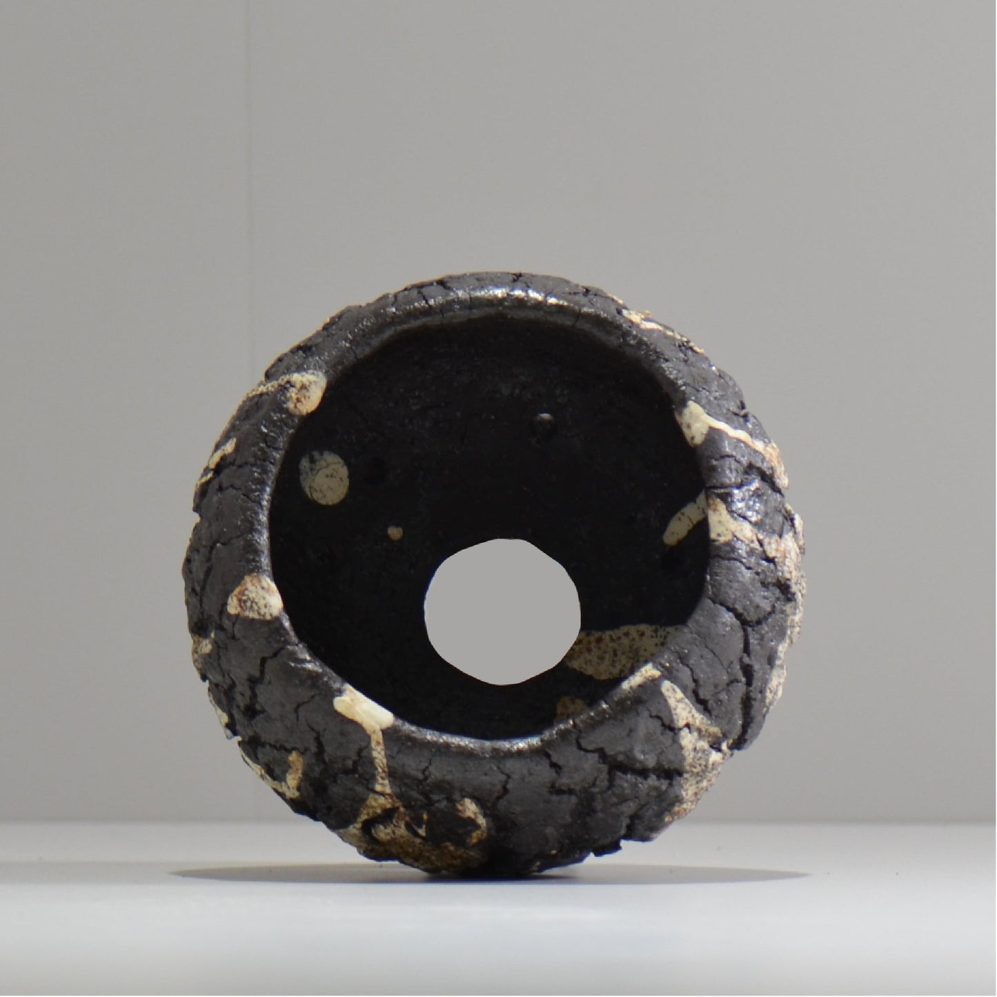 松井邦明 /  枯渇  / mk_ko04_s / 約 10cm / 植木鉢