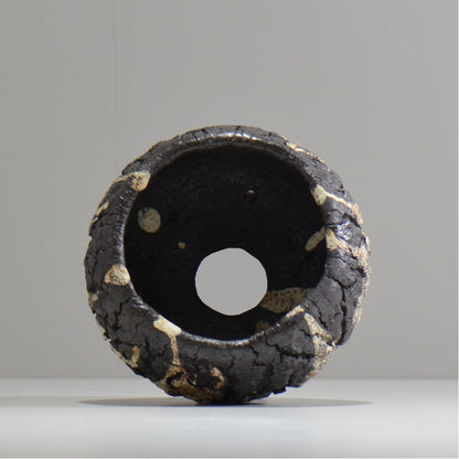 松井邦明 /  枯渇  / mk_ko04_s / 約 10cm / 植木鉢