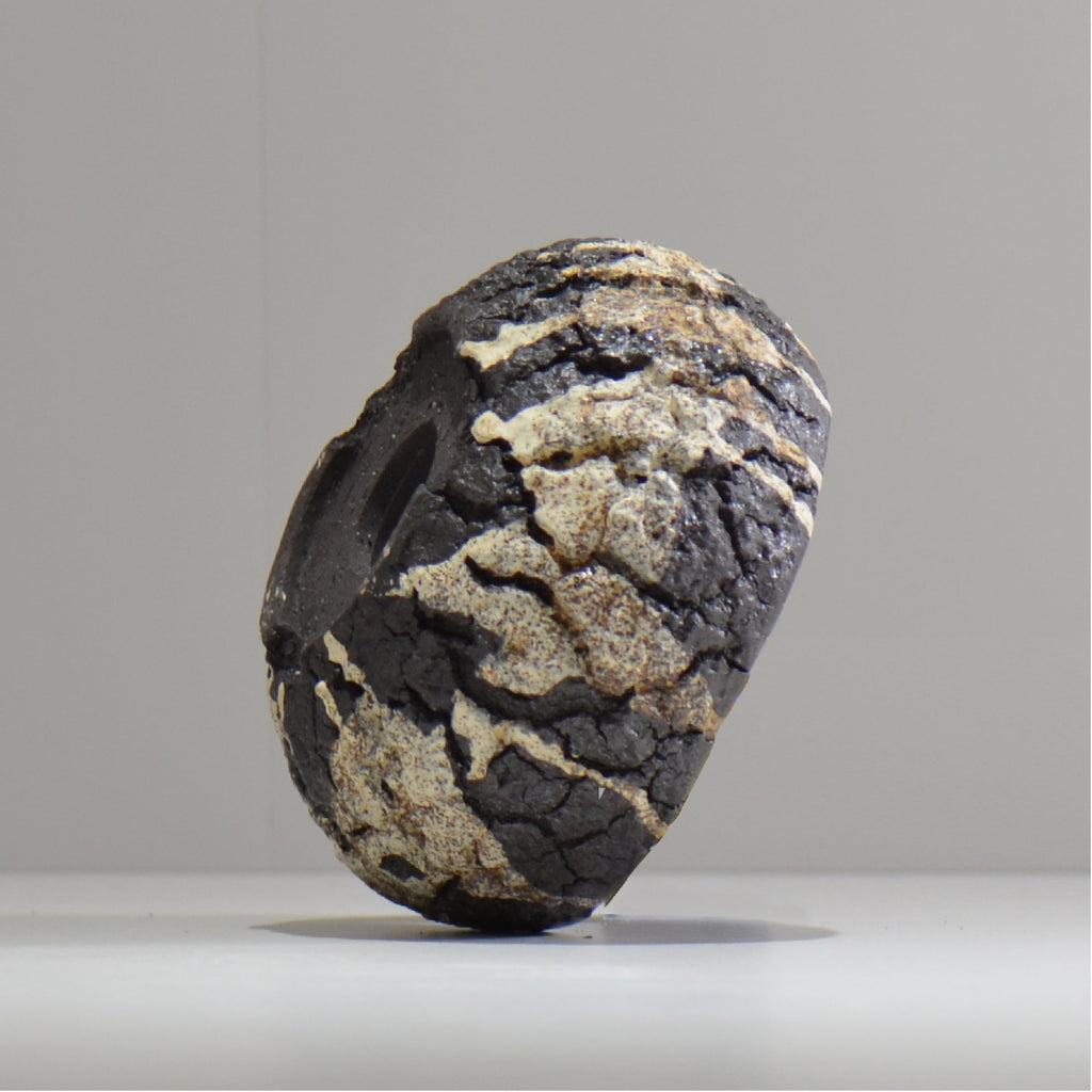 松井邦明 /  枯渇  / mk_ko05_s / 約 11.5cm / 植木鉢