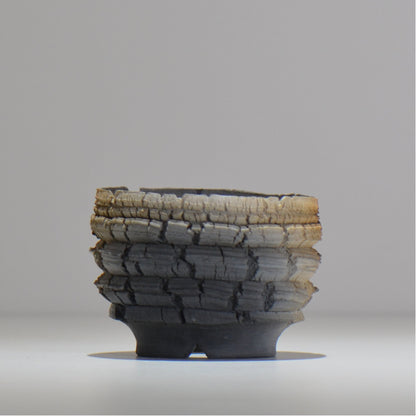 宮島將實 / mm2_ta04_s / 約 φ10cm / 植木鉢