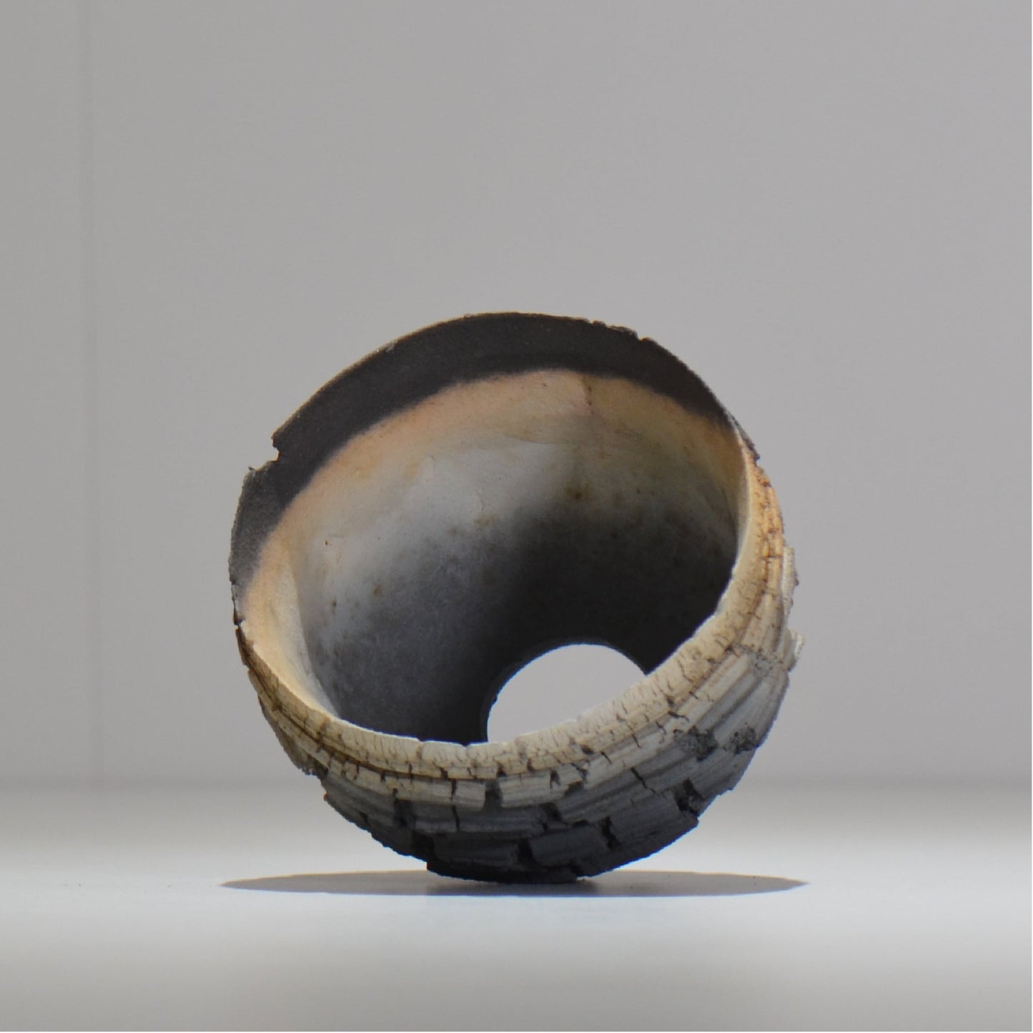 宮島將實 / mm2_ta04_s / 約 φ10cm / 植木鉢