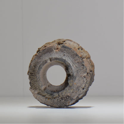 宮島將實 / mm2_ta09_xs / 約 φ8.8cm / 植木鉢