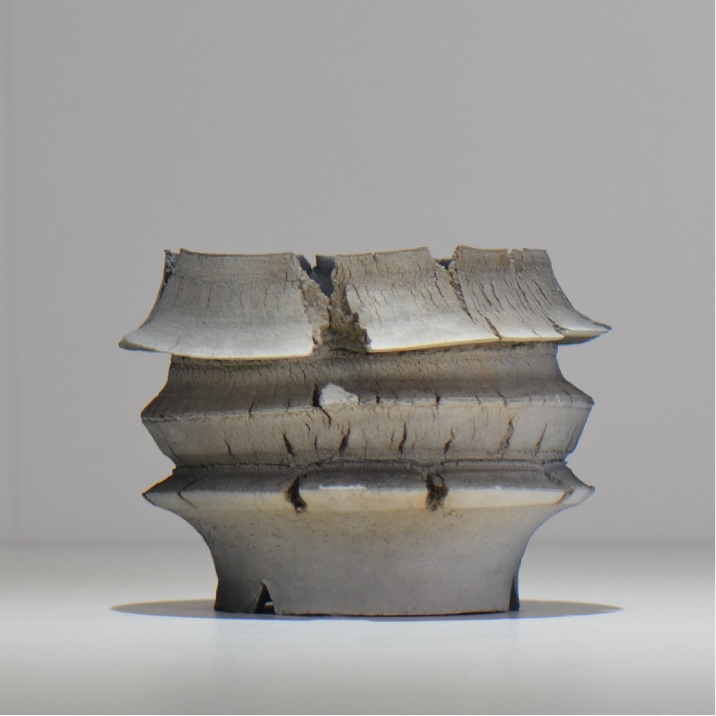 宮島將實 / mm2_ta13_s / 約 φ10cm / 植木鉢