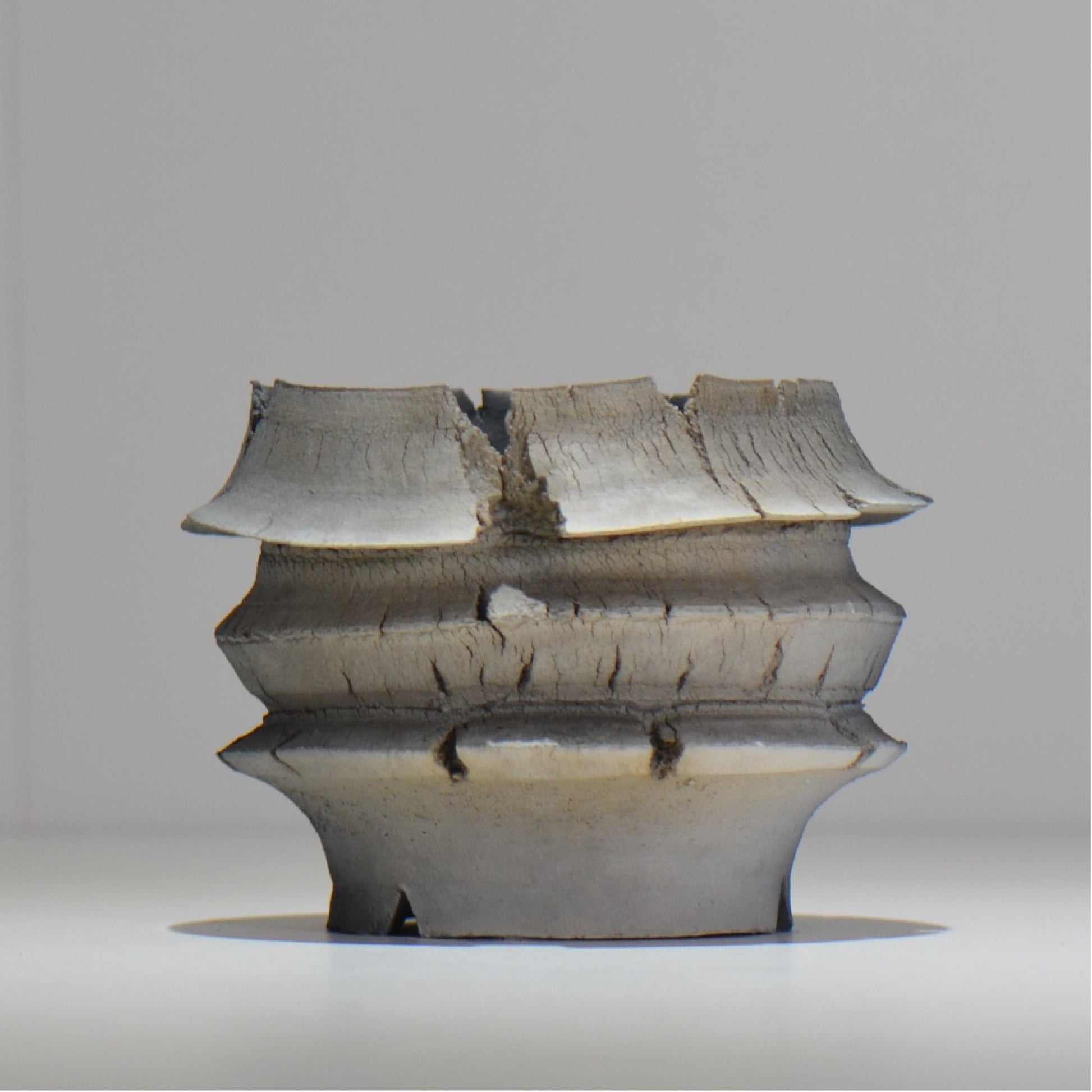 宮島將實 / mm2_ta13_s / 約 φ10cm / 植木鉢