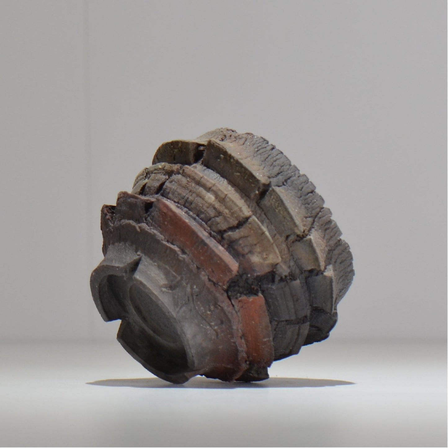 宮島將實 / mm2_ta16_s / 約 φ9cm / 植木鉢