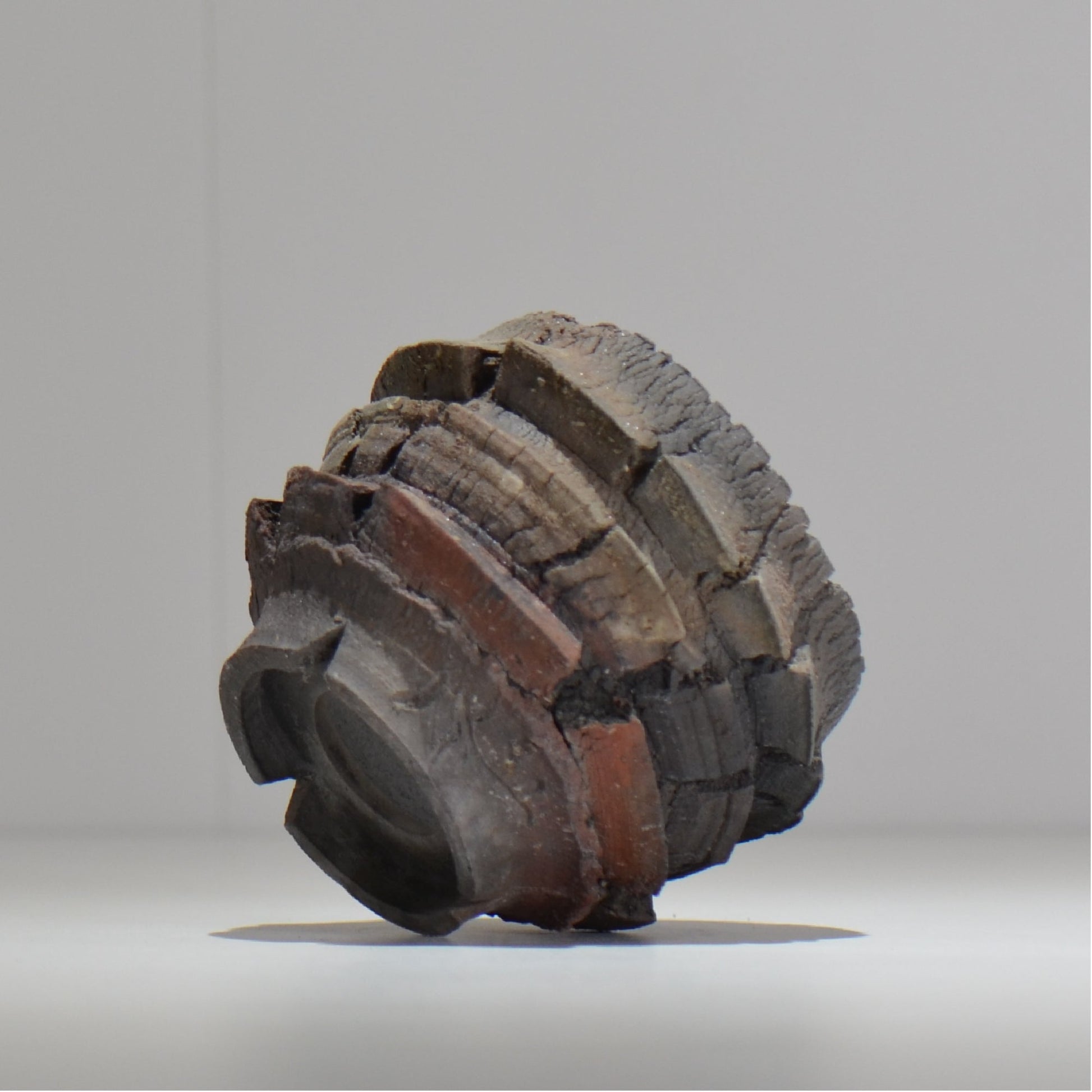 宮島將實 / mm2_ta16_s / 約 φ9cm / 植木鉢