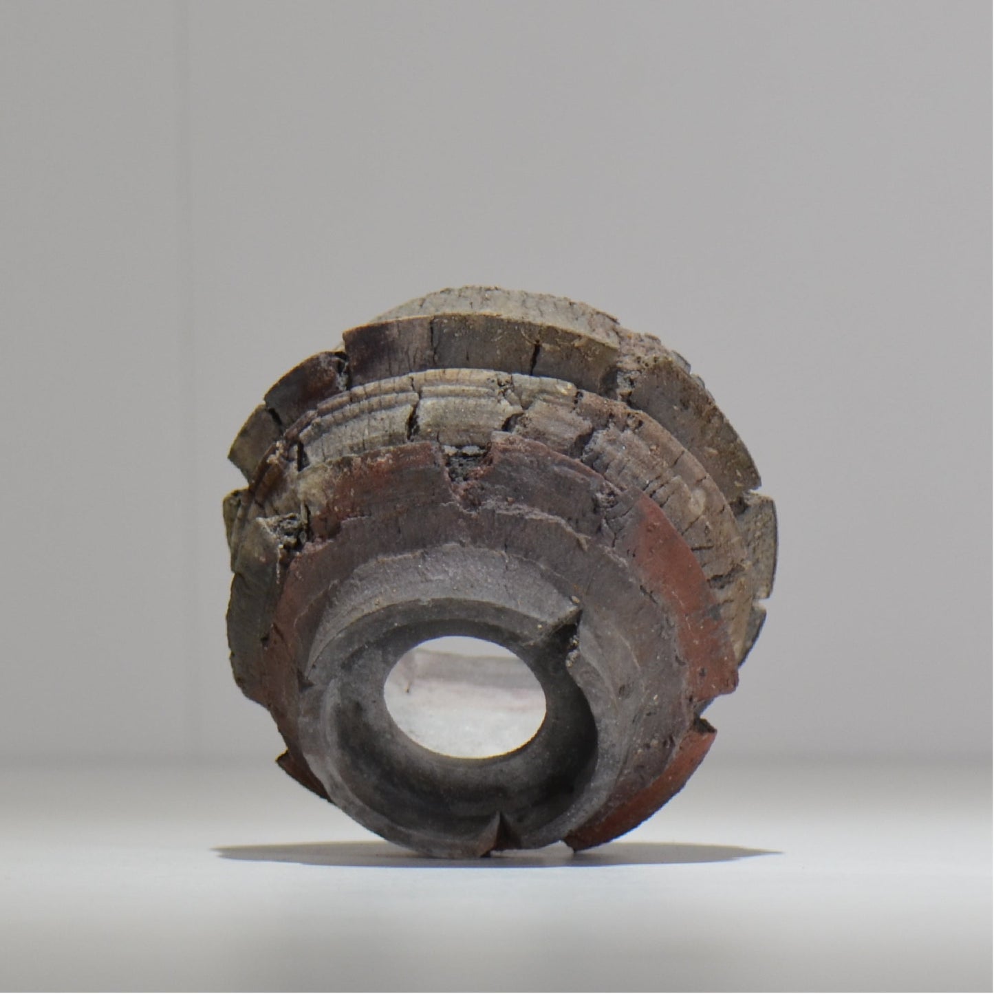 宮島將實 / mm2_ta16_s / 約 φ9cm / 植木鉢