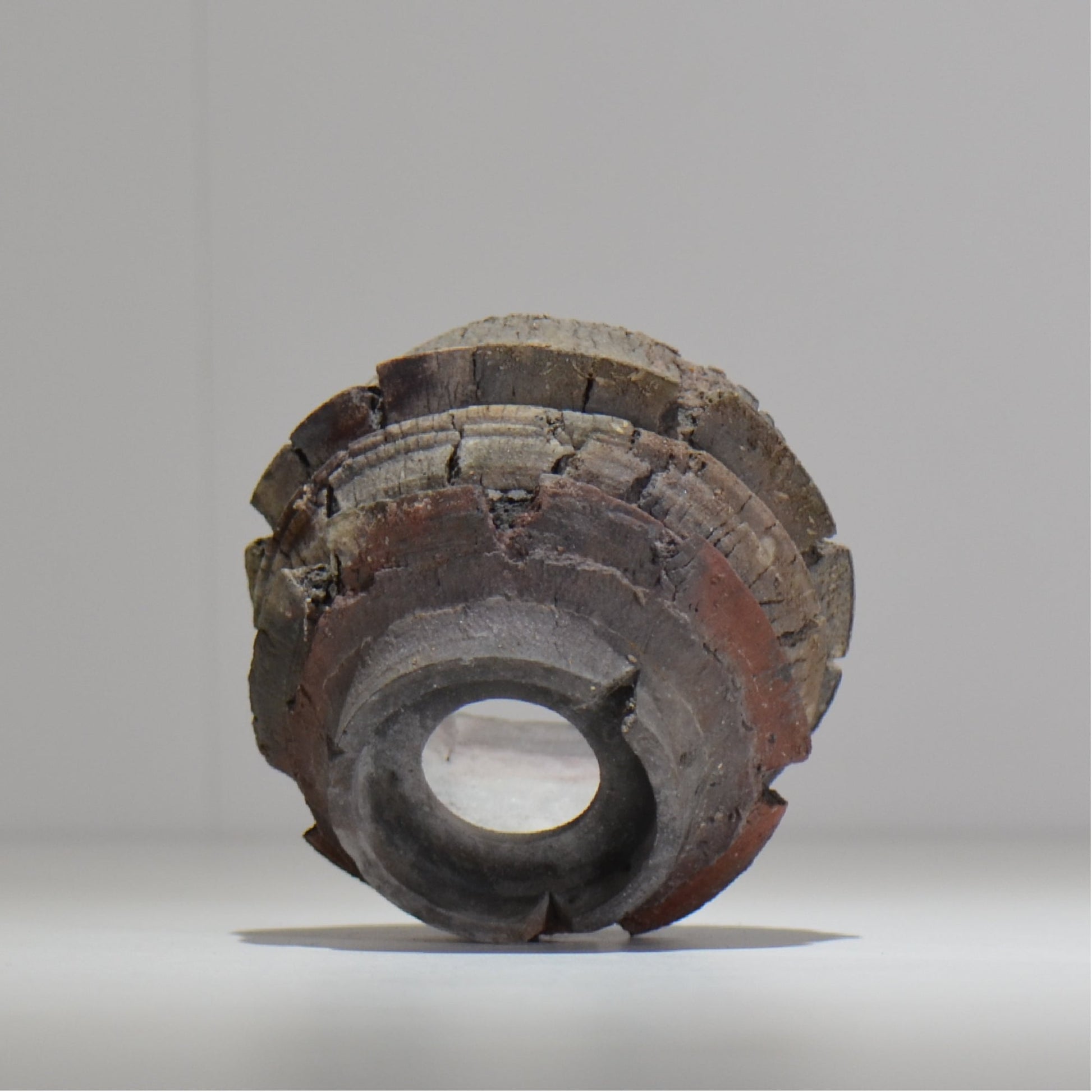 宮島將實 / mm2_ta16_s / 約 φ9cm / 植木鉢