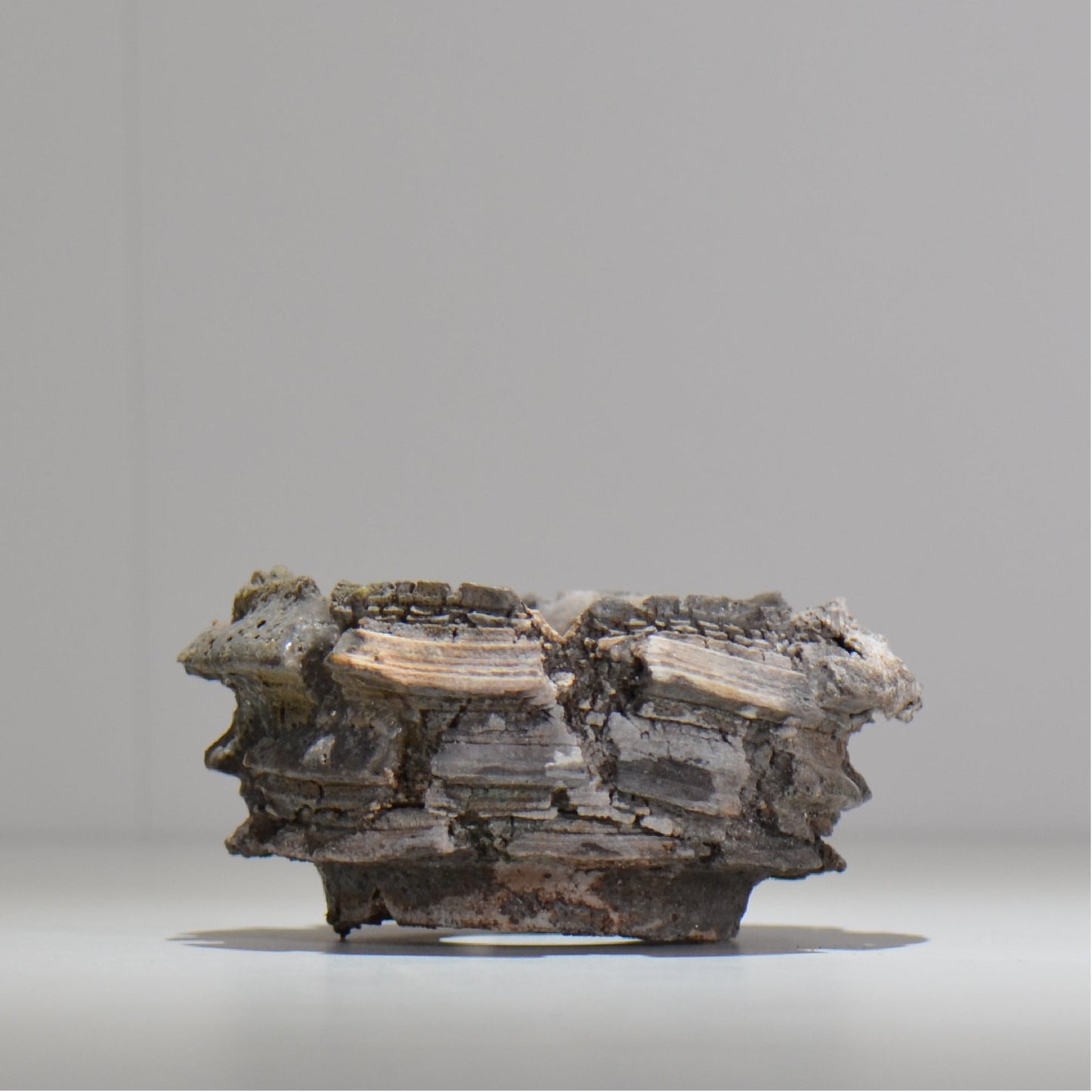 宮島將實 / mm2_ta18_s / 約 φ11cm / 植木鉢