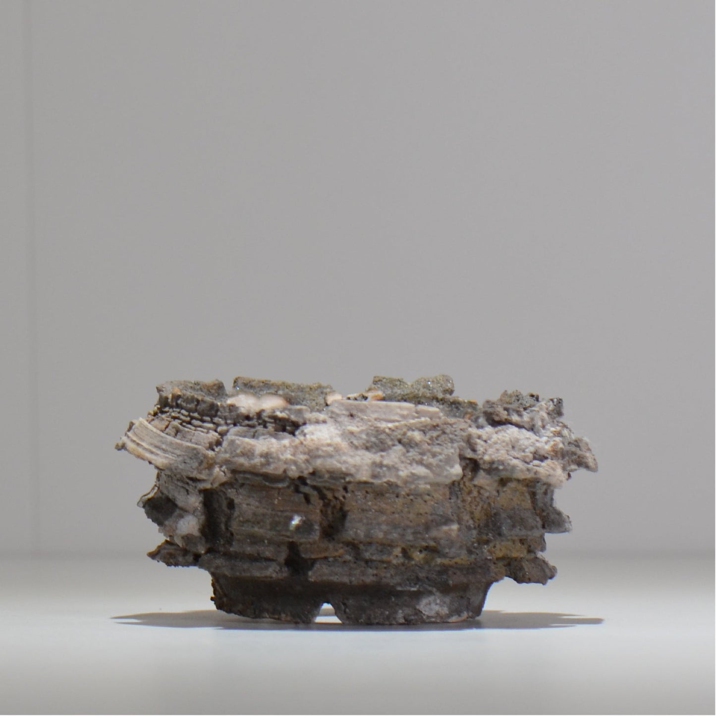 宮島將實 / mm2_ta18_s / 約 φ11cm / 植木鉢