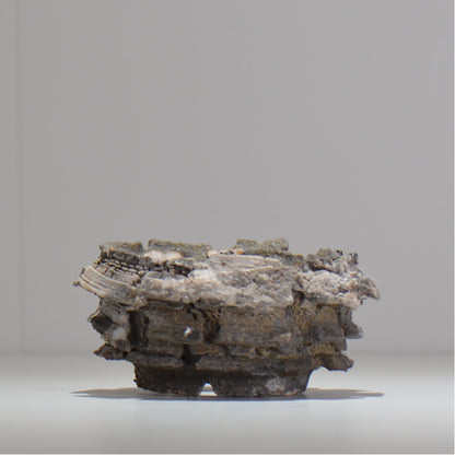 宮島將實 / mm2_ta18_s / 約 φ11cm / 植木鉢