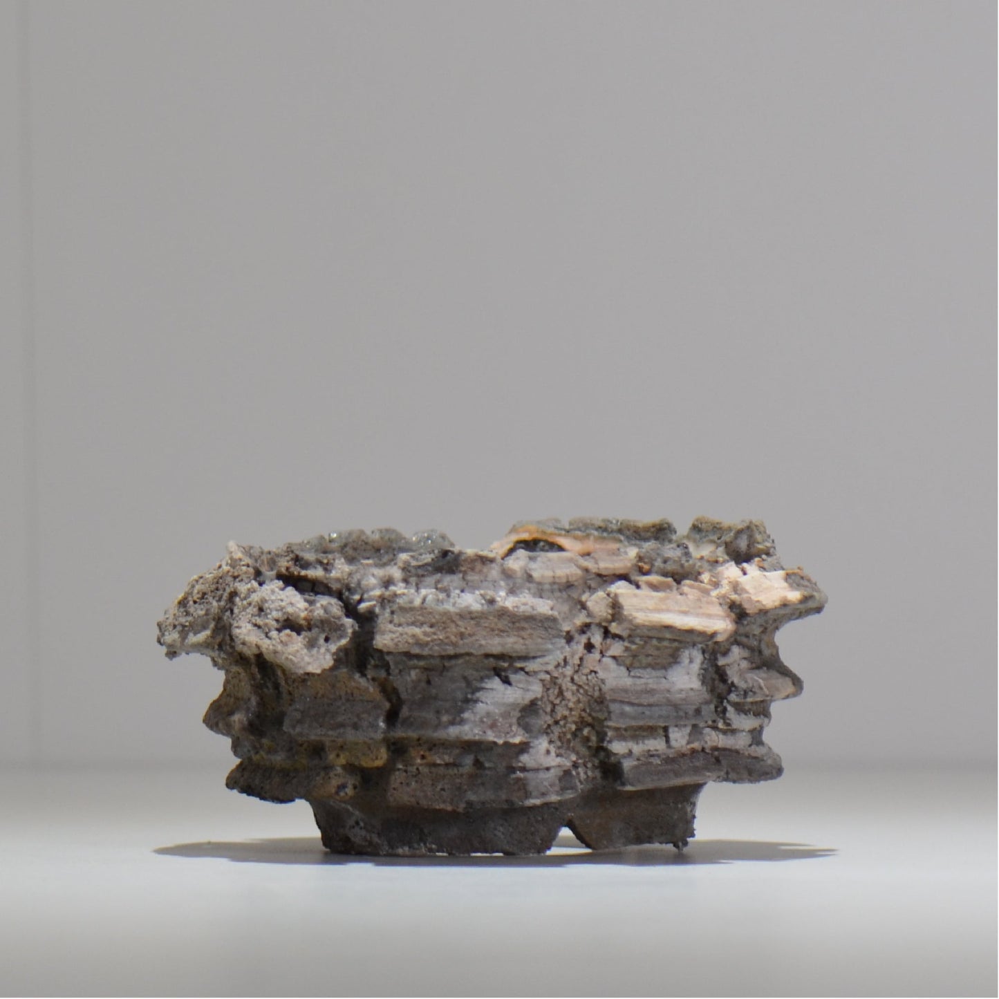 宮島將實 / mm2_ta18_s / 約 φ11cm / 植木鉢