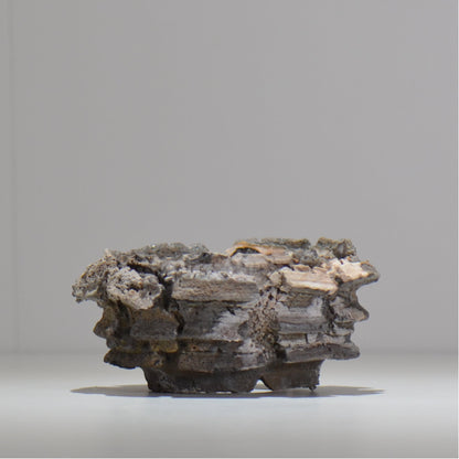 宮島將實 / mm2_ta18_s / 約 φ11cm / 植木鉢