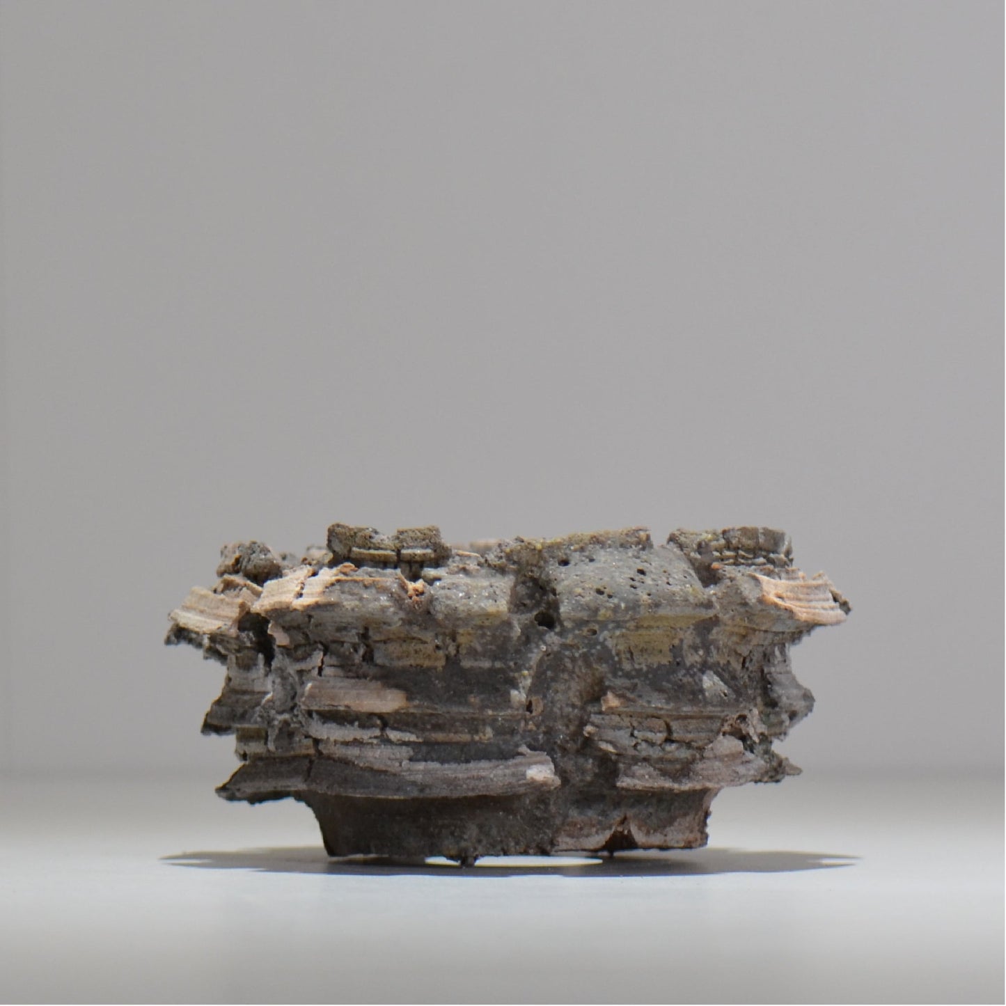 宮島將實 / mm2_ta18_s / 約 φ11cm / 植木鉢