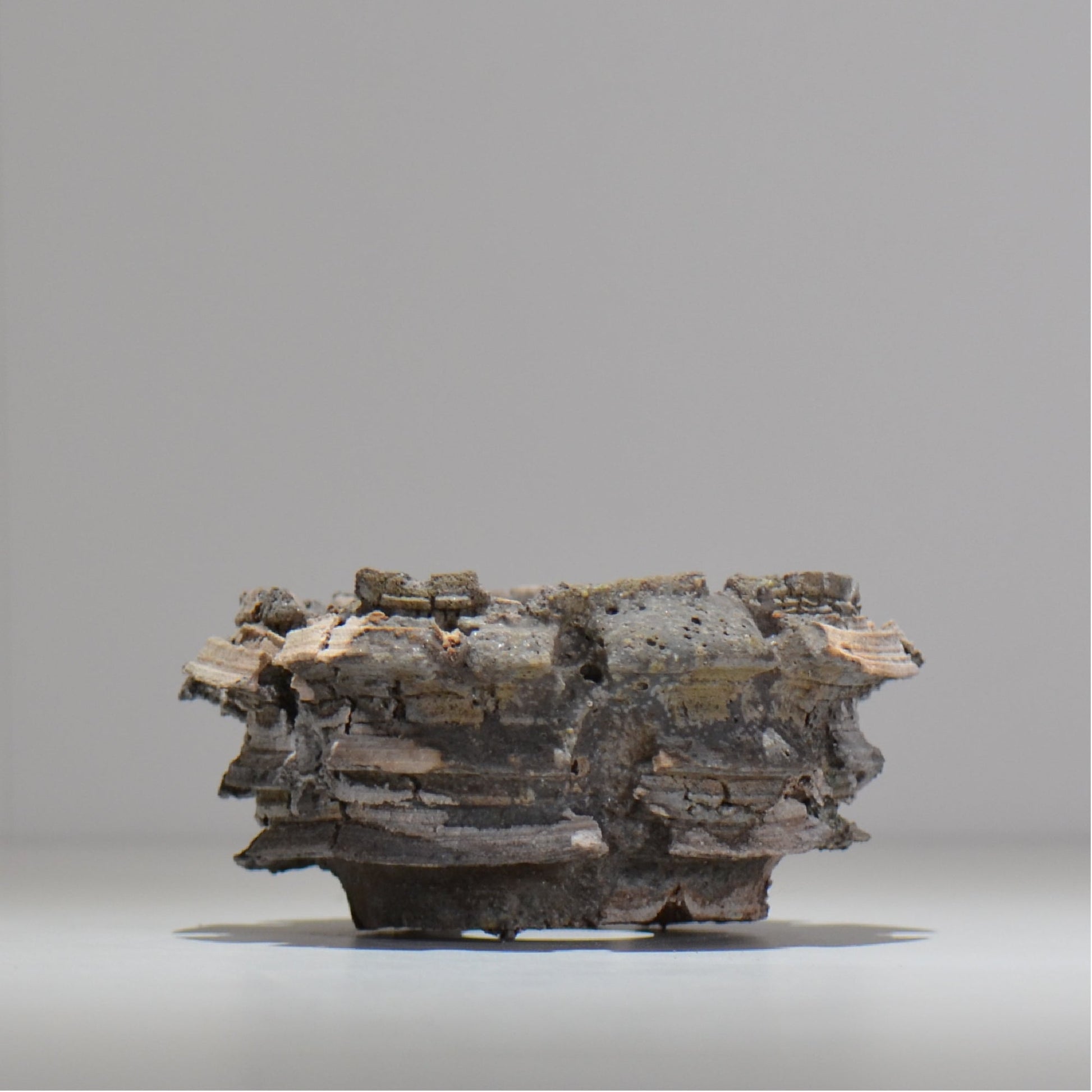 宮島將實 / mm2_ta18_s / 約 φ11cm / 植木鉢