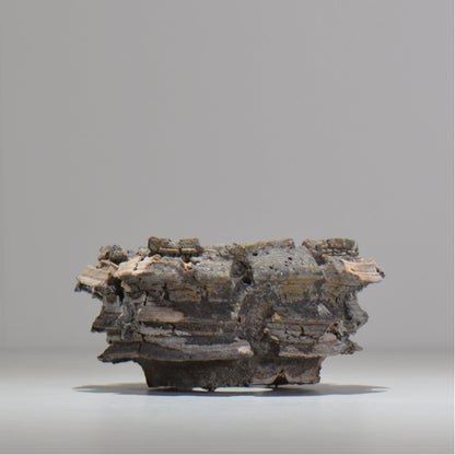 宮島將實 / mm2_ta18_s / 約 φ11cm / 植木鉢