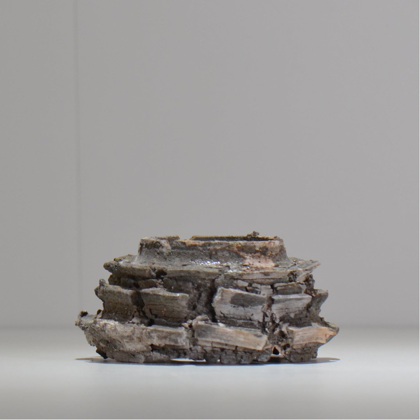 宮島將實 / mm2_ta18_s / 約 φ11cm / 植木鉢