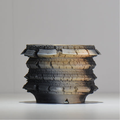 宮島將實 / mm2_ta20_s / 約 φ12cm / 植木鉢