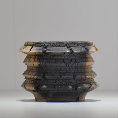 宮島將實 / mm2_ta20_s / 約 φ12cm / 植木鉢