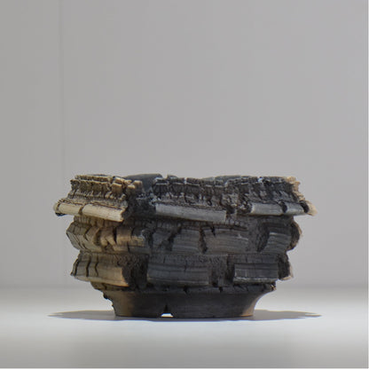 宮島將實 / mm2_ta22_m / 約 φ13.6cm / 植木鉢