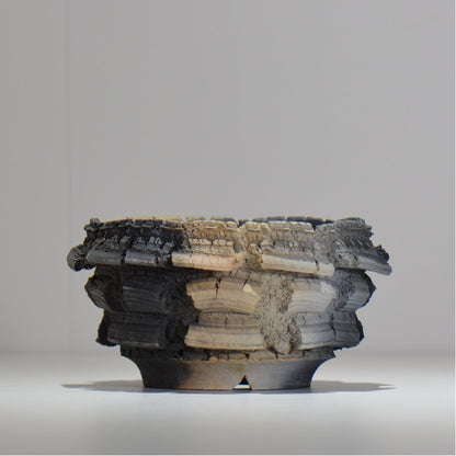 宮島將實 / mm2_ta22_m / 約 φ13.6cm / 植木鉢