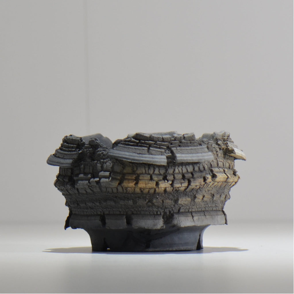 宮島將實 / mm2_ta31_s / 約 φ11cm / 植木鉢
