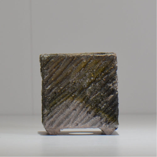 宮島將實 / mm3_sq01_xs / 約 φ8cm / 植木鉢