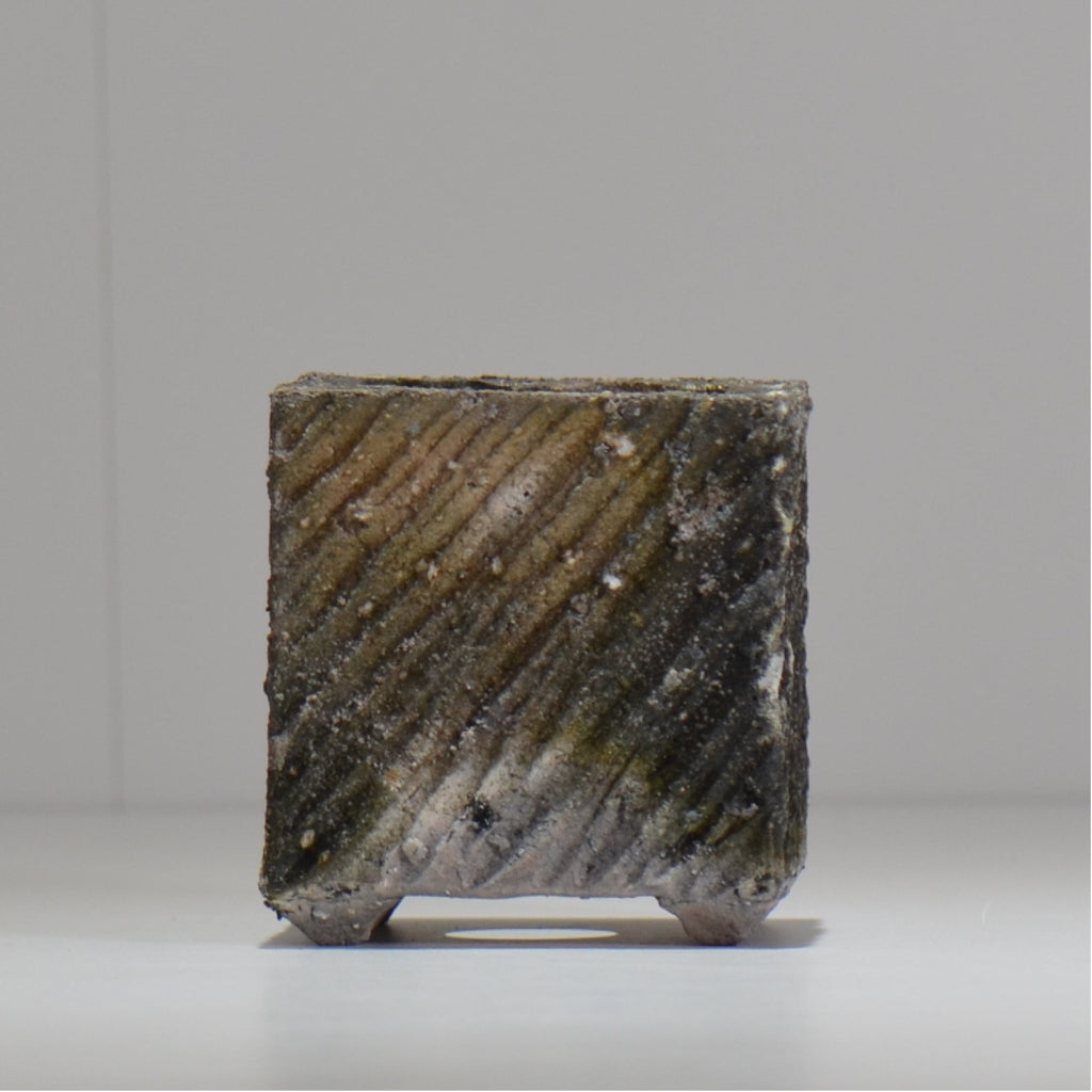 宮島將實 / mm3_sq01_xs / 約 φ8cm / 植木鉢