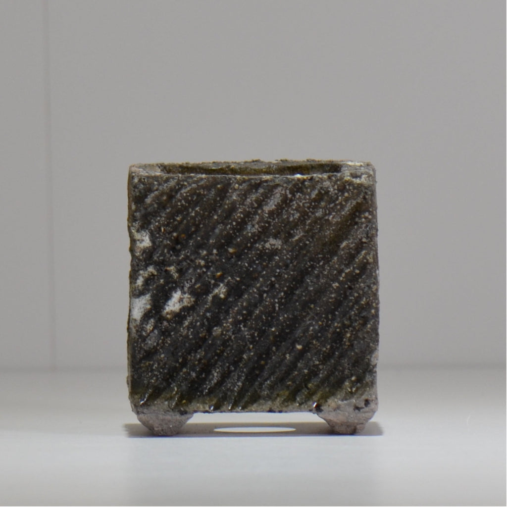 宮島將實 / mm3_sq01_xs / 約 φ8cm / 植木鉢