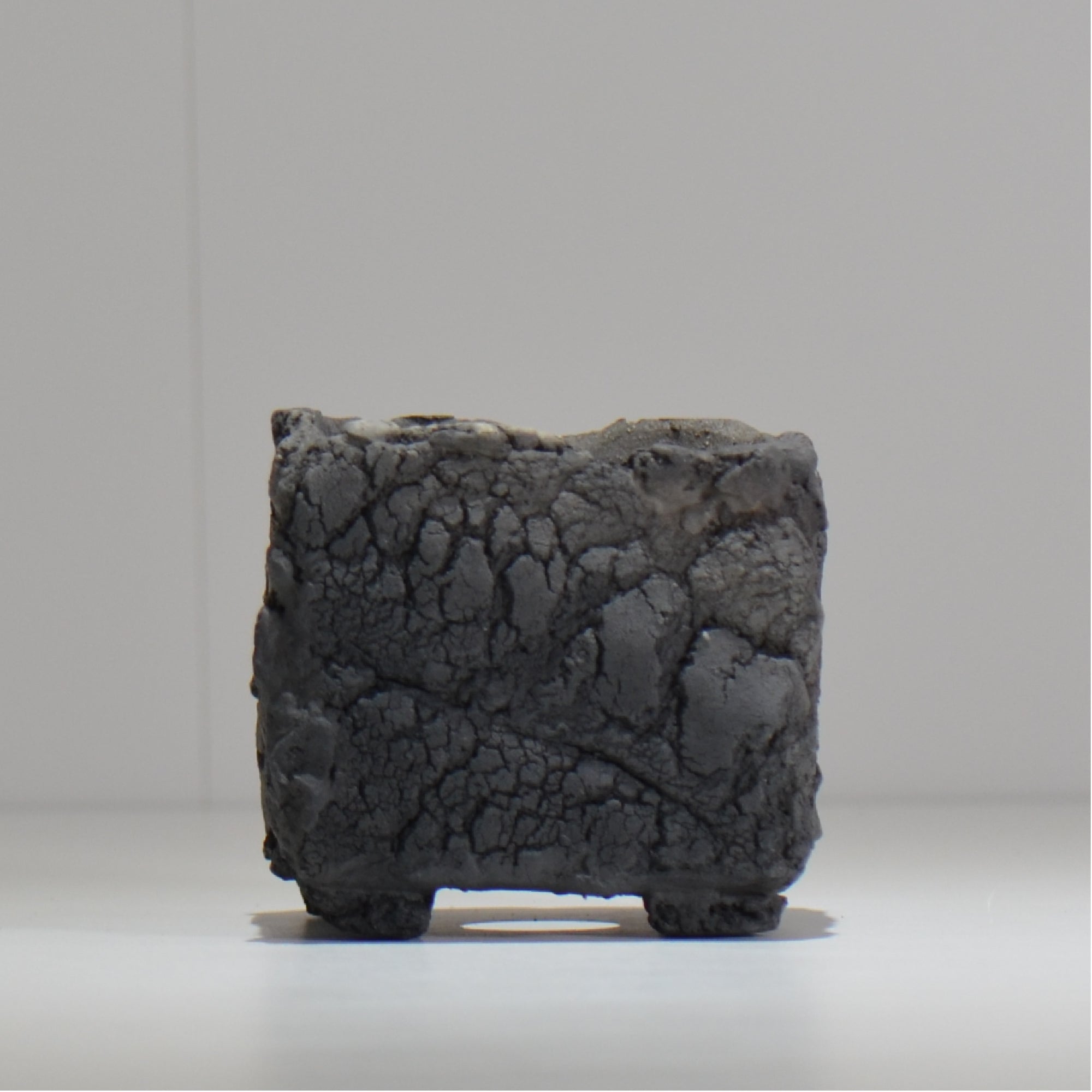 植木鉢 – tagged 