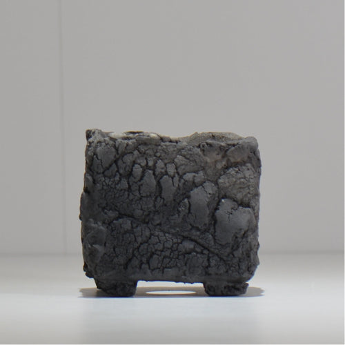 宮島將實 / mm3_sq02_xs / 約 φ8cm / 植木鉢