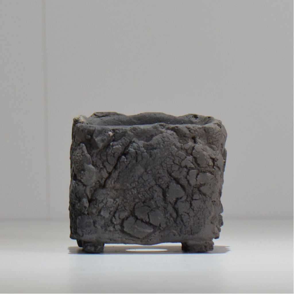 宮島將實 / mm3_sq02_xs / 約 φ8cm / 植木鉢