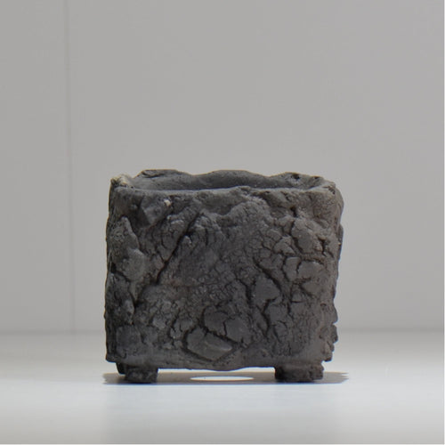 宮島將實 / mm3_sq02_xs / 約 φ8cm / 植木鉢