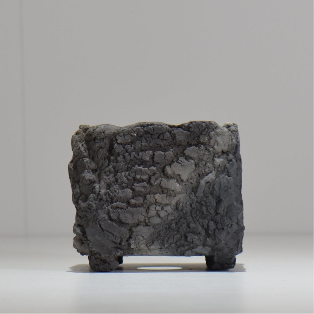 宮島將實 / mm3_sq02_xs / 約 φ8cm / 植木鉢